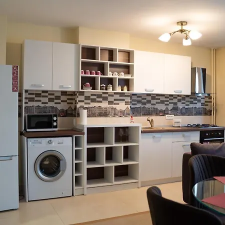 Unirii Central Apartment *